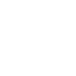 Rôle Infanterie